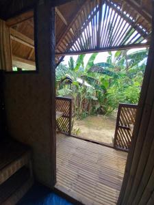 Banana Grove El Nido