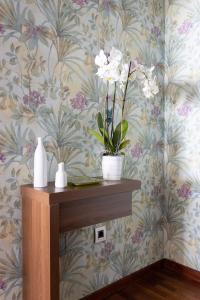 Punto Fijo - 3 minutes walking to Beach San Telmo