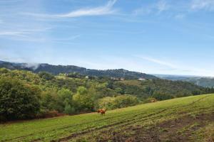 Villas Villa de 4 chambres avec piscine privee jardin clos et wifi a Sousceyrac En Quercy : photos des chambres