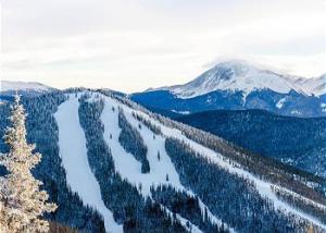 Snake River Village by Summit County Mountain Retreats