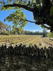 B&B / Chambres d'hotes Lou Paradou Luberon : photos des chambres