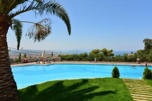 Junior Suite with Pool View