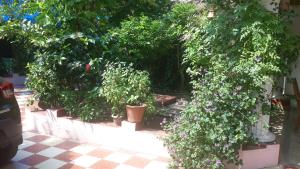 Sithara Homestay Fort Cochin