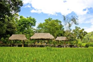 Hmong Hilltribe Lodge