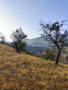 Cortijo Vacas Gordas B&B