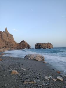 Cortijo Vacas Gordas B&B