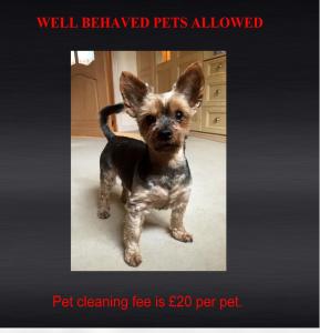 Westertonhill Lodge - 4 Bedrooms Sleeps 10 with Private Hot Tub Hire Available