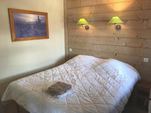 Chalet centre La Tania, skis aux pieds, parking et animaux admis - FR-1-513-78