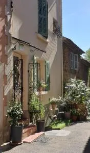 4 safraniers - Fox-Amphoux