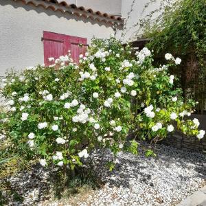 Maisons de vacances le petit Mazet : photos des chambres