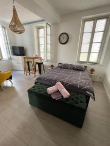 Appartements Le Petit Dijonnais : photos des chambres