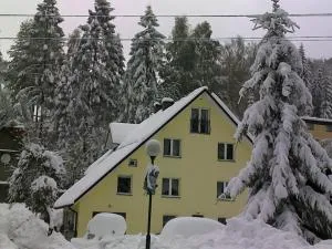 Apartamenty Grapa szum rzeki parking free - Czarne