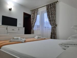 Pensiunea Putnisoara