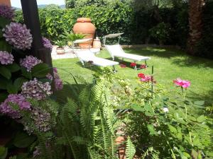 Villa degli Ulivi img2