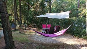 Bosbungalow de Eekhoorn