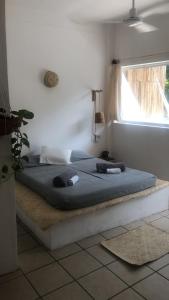 Studio wAC Zicatela, Puerto Escondido