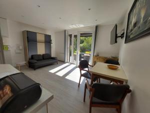 Appartements Centre St Jorioz : Charmant et spacieux studio avec terrasse et jardin privatif : photos des chambres