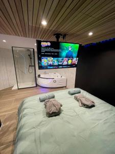 Appartements Capsule Manga - Jacuzzi - Billard - Nintendo Switch - Netflix : photos des chambres