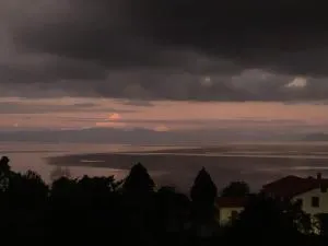 Cabañas el Bosque Patagónico - Puerto Octay