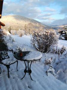 Maisons d'hotes B&B Chalet l'Epinette : photos des chambres