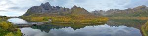 Wildlife Panorama Lofoten
