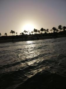 شالية بقرية بالميرا