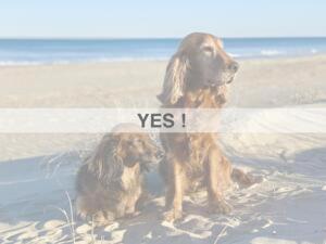 Èrsextius, IB, Aix-en-Provence