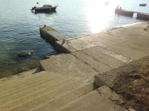 Apartments Krešo 5 meters from the beach with See view shadow and parking place