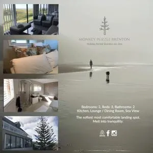 The Monkey Puzzle - 布菲尔斯巴埃