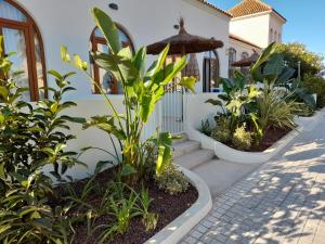 TORREMOCHA