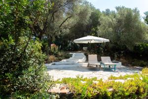 Lilly - Lovely small Villa among Olive Trees img22