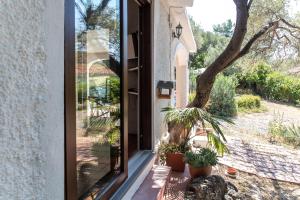 Lilly - Lovely small Villa among Olive Trees img38