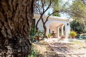 Lilly - Lovely small Villa among Olive Trees img33