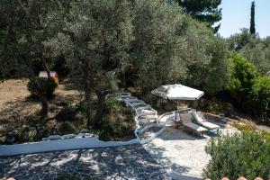 Lilly - Lovely small Villa among Olive Trees img43