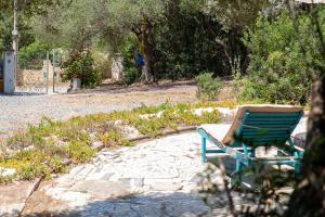 Lilly - Lovely small Villa among Olive Trees img44