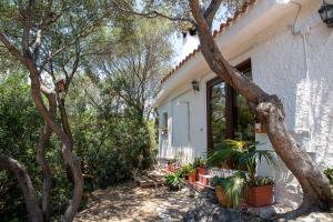Lilly - Lovely small Villa among Olive Trees img47