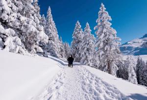 Appartements Votre studio balneo bien-etre a la montagne : Appartement 1 Chambre