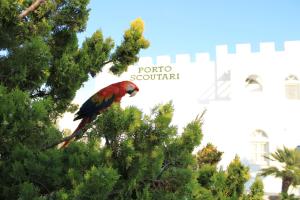 Porto Scoutari Romantic Hotel Patmos Greece