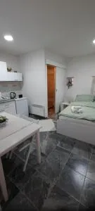 Studio apartman Centar - Pušćina