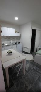 Studio apartman Centar