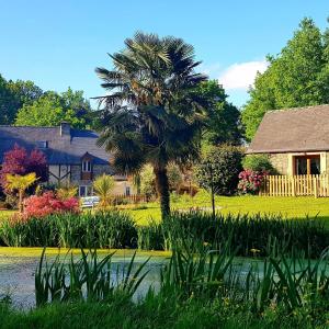 Le Vieux Moulin Gites - A charming stone cottage with garden view and seasonal pool