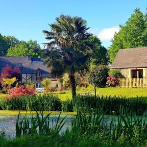 Maisons de vacances Le Vieux Moulin Gites - A charming stone cottage with garden view and seasonal pool : photos des chambres