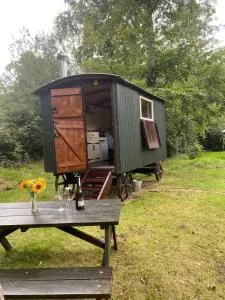 The Shepherd's Hut - Wild Escapes Wrenbury off grid glamping - ages 12 and over - Baddiley