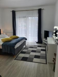 AOSTA VALLEY VIEW SINAIA