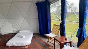 Euroa Glamping
