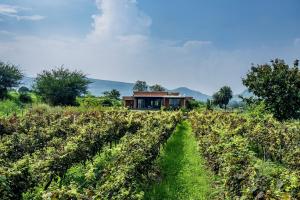 SaffronStays Rose Vineyard by the Lake, Nashik