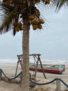 Forest Island apartment in Salalah
