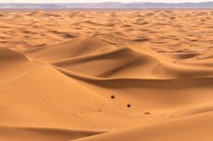 Chegaga desert Trips camp