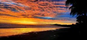 Down By The Sea, the beachfront Apartment - La Javilla