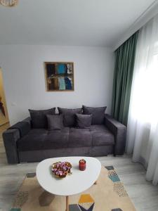 Apartament AMA Sibiu